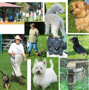 Finger Lakes Kennel Club Earthdog Tests are fun!